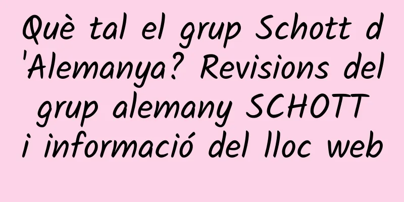 Què tal el grup Schott d'Alemanya? Revisions del grup alemany SCHOTT i informació del lloc web