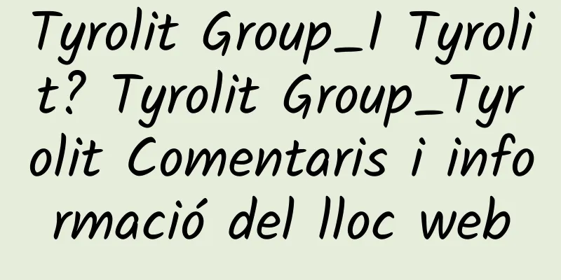 Tyrolit Group_I Tyrolit? Tyrolit Group_Tyrolit Comentaris i informació del lloc web