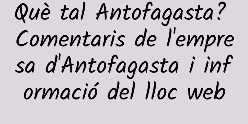 Què tal Antofagasta? Comentaris de l'empresa d'Antofagasta i informació del lloc web
