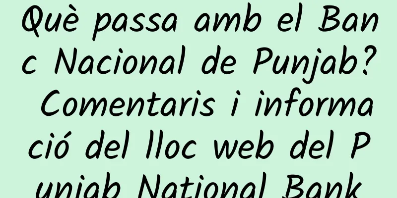 Què passa amb el Banc Nacional de Punjab? Comentaris i informació del lloc web del Punjab National Bank