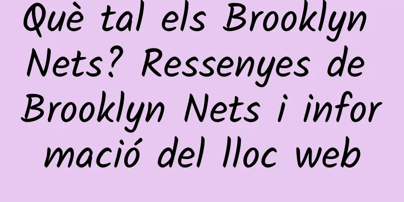Què tal els Brooklyn Nets? Ressenyes de Brooklyn Nets i informació del lloc web