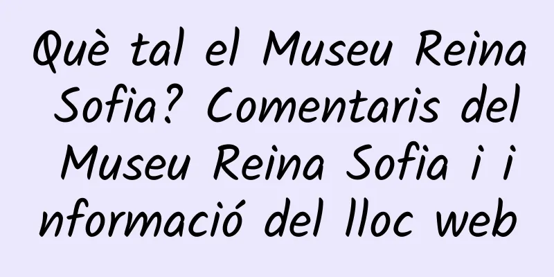 Què tal el Museu Reina Sofia? Comentaris del Museu Reina Sofia i informació del lloc web