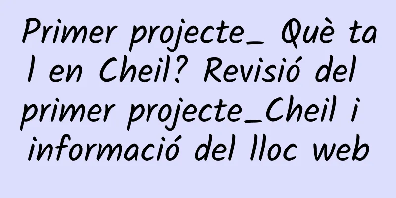 Primer projecte_ Què tal en Cheil? Revisió del primer projecte_Cheil i informació del lloc web