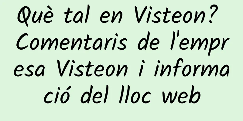 Què tal en Visteon? Comentaris de l'empresa Visteon i informació del lloc web