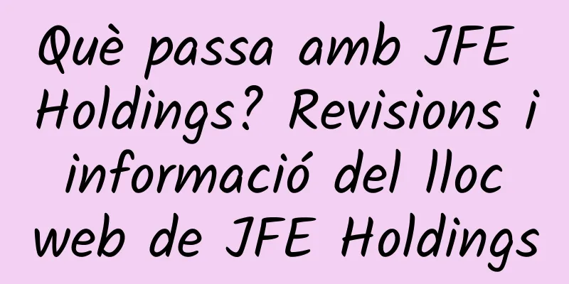 Què passa amb JFE Holdings? Revisions i informació del lloc web de JFE Holdings
