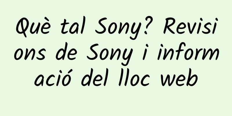 Què tal Sony? Revisions de Sony i informació del lloc web