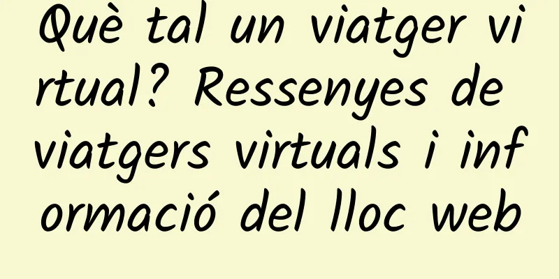 Què tal un viatger virtual? Ressenyes de viatgers virtuals i informació del lloc web