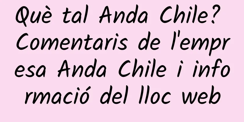 Què tal Anda Chile? Comentaris de l'empresa Anda Chile i informació del lloc web