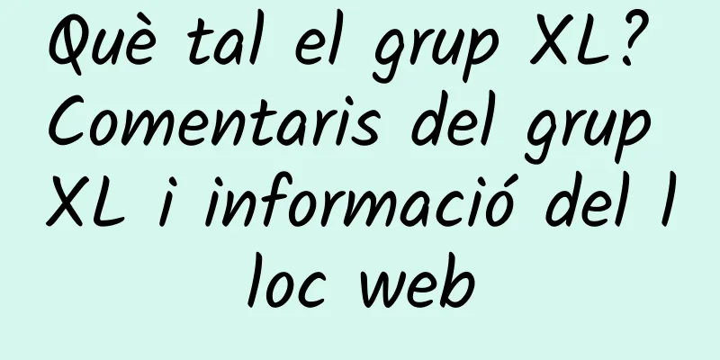 Què tal el grup XL? Comentaris del grup XL i informació del lloc web