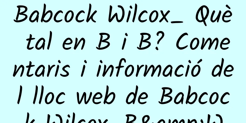 Babcock Wilcox_ Què tal en B i B? Comentaris i informació del lloc web de Babcock Wilcox_B&W