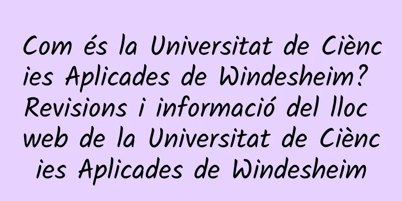 Com és la Universitat de Ciències Aplicades de Windesheim? Revisions i informació del lloc web de la Universitat de Ciències Aplicades de Windesheim