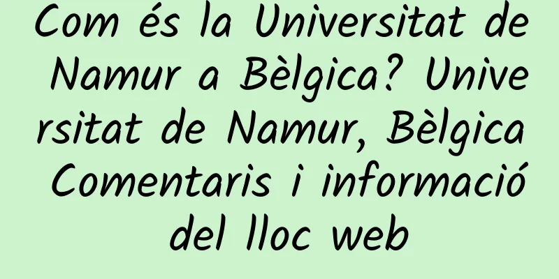 Com és la Universitat de Namur a Bèlgica? Universitat de Namur, Bèlgica Comentaris i informació del lloc web