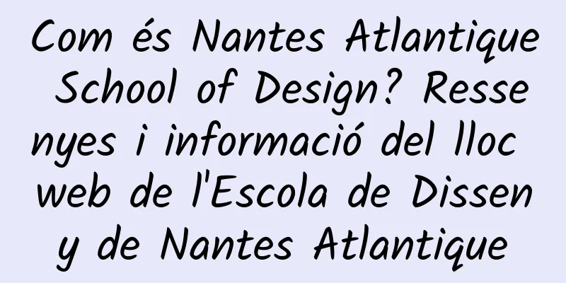 Com és Nantes Atlantique School of Design? Ressenyes i informació del lloc web de l'Escola de Disseny de Nantes Atlantique