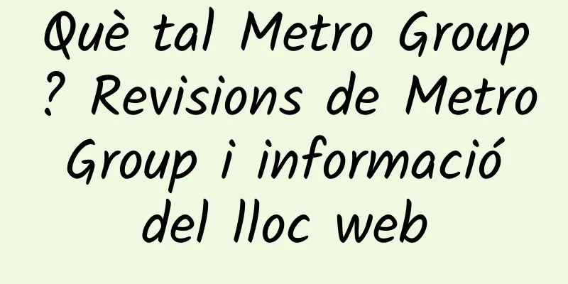 Què tal Metro Group? Revisions de Metro Group i informació del lloc web