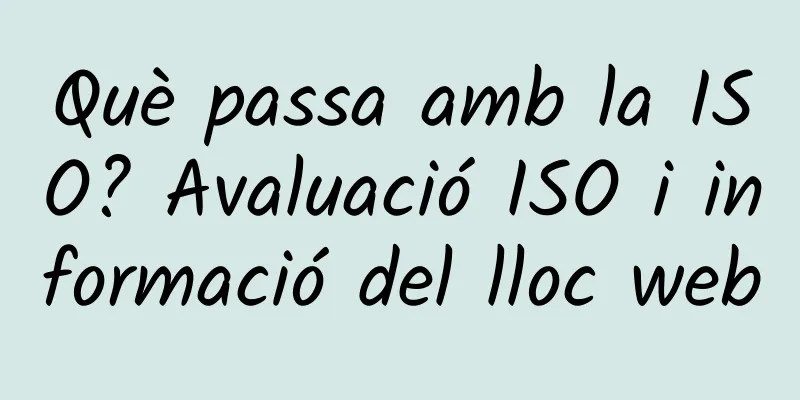 Què passa amb la ISO? Avaluació ISO i informació del lloc web