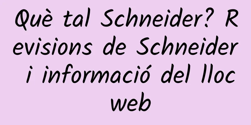 Què tal Schneider? Revisions de Schneider i informació del lloc web