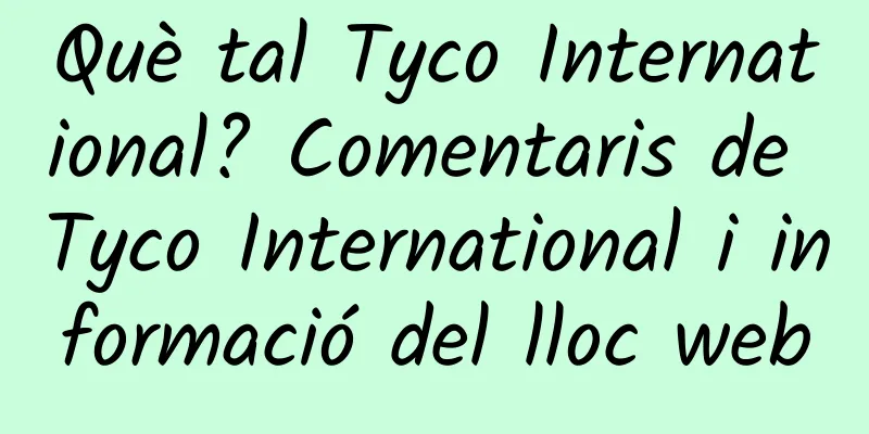 Què tal Tyco International? Comentaris de Tyco International i informació del lloc web
