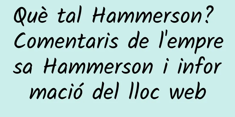 Què tal Hammerson? Comentaris de l'empresa Hammerson i informació del lloc web