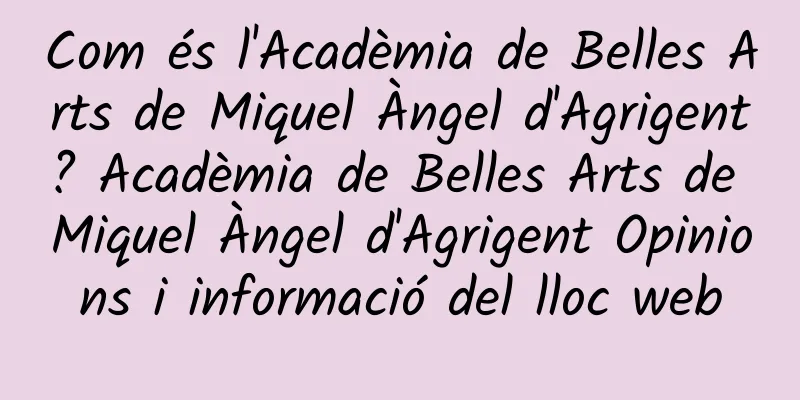 Com és l'Acadèmia de Belles Arts de Miquel Àngel d'Agrigent? Acadèmia de Belles Arts de Miquel Àngel d'Agrigent Opinions i informació del lloc web