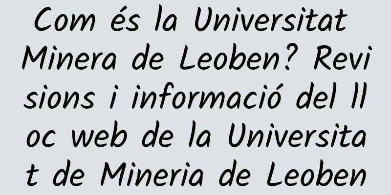 Com és la Universitat Minera de Leoben? Revisions i informació del lloc web de la Universitat de Mineria de Leoben