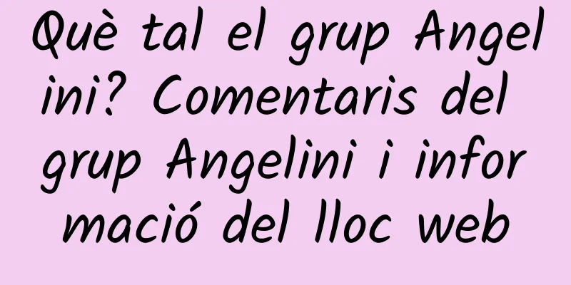 Què tal el grup Angelini? Comentaris del grup Angelini i informació del lloc web