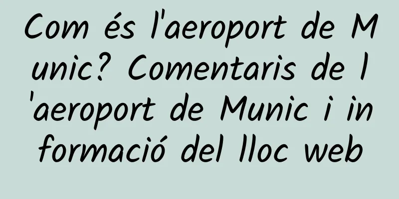 Com és l'aeroport de Munic? Comentaris de l'aeroport de Munic i informació del lloc web