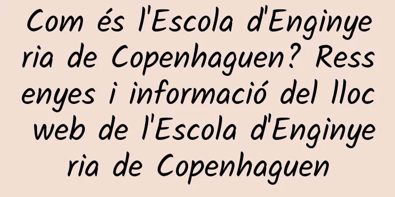Com és l'Escola d'Enginyeria de Copenhaguen? Ressenyes i informació del lloc web de l'Escola d'Enginyeria de Copenhaguen