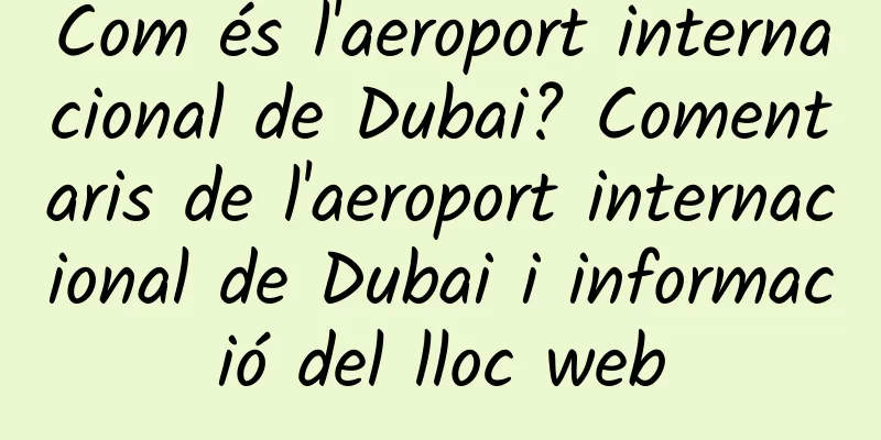 Com és l'aeroport internacional de Dubai? Comentaris de l'aeroport internacional de Dubai i informació del lloc web