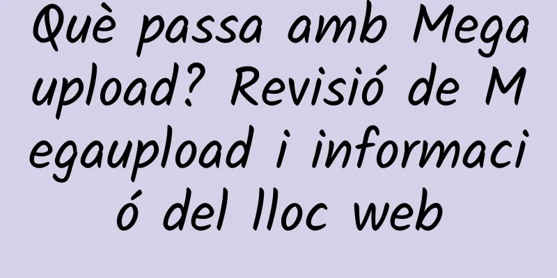 Què passa amb Megaupload? Revisió de Megaupload i informació del lloc web