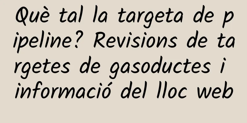 Què tal la targeta de pipeline? Revisions de targetes de gasoductes i informació del lloc web