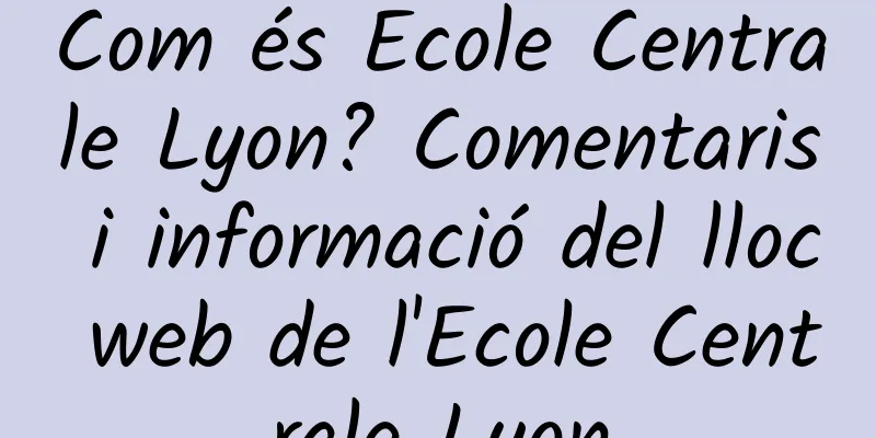 Com és Ecole Centrale Lyon? Comentaris i informació del lloc web de l'Ecole Centrale Lyon