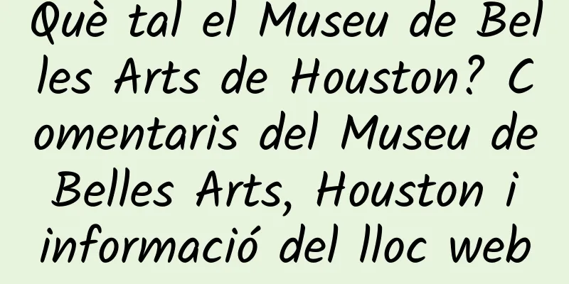 Què tal el Museu de Belles Arts de Houston? Comentaris del Museu de Belles Arts, Houston i informació del lloc web