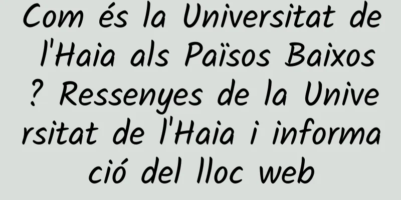Com és la Universitat de l'Haia als Països Baixos? Ressenyes de la Universitat de l'Haia i informació del lloc web