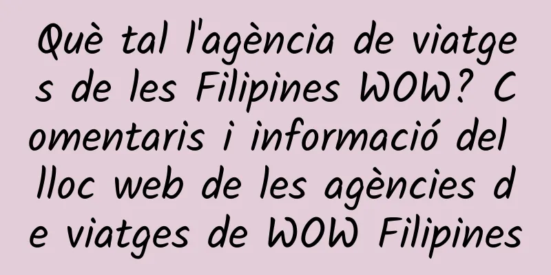 Què tal l'agència de viatges de les Filipines WOW? Comentaris i informació del lloc web de les agències de viatges de WOW Filipines