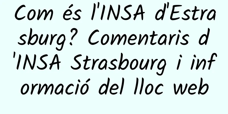 Com és l'INSA d'Estrasburg? Comentaris d'INSA Strasbourg i informació del lloc web