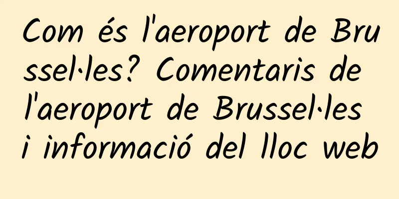 Com és l'aeroport de Brussel·les? Comentaris de l'aeroport de Brussel·les i informació del lloc web