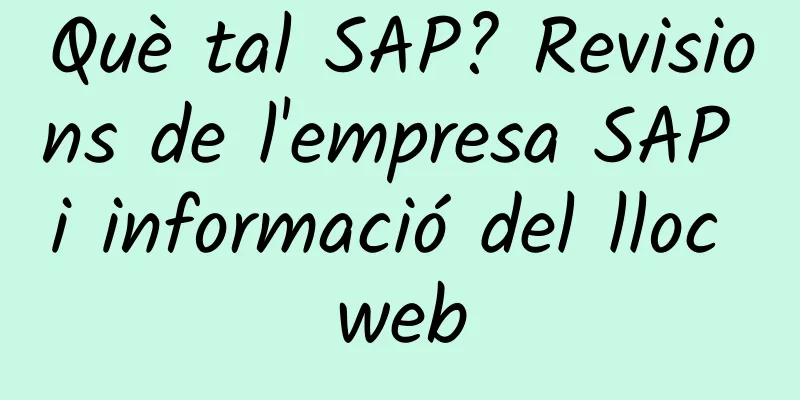Què tal SAP? Revisions de l'empresa SAP i informació del lloc web