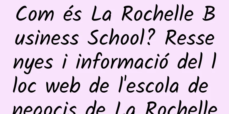 Com és La Rochelle Business School? Ressenyes i informació del lloc web de l'escola de negocis de La Rochelle
