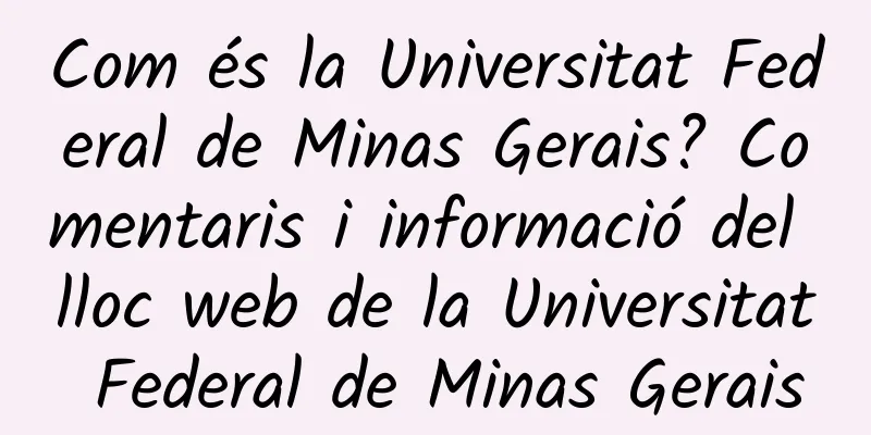Com és la Universitat Federal de Minas Gerais? Comentaris i informació del lloc web de la Universitat Federal de Minas Gerais