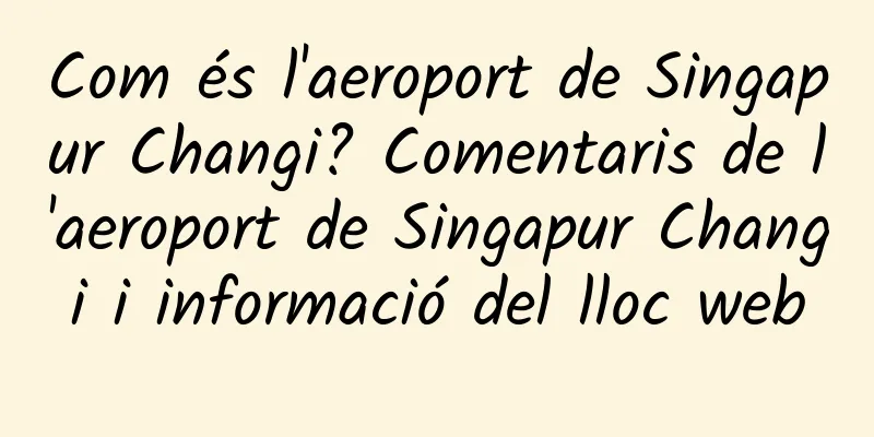 Com és l'aeroport de Singapur Changi? Comentaris de l'aeroport de Singapur Changi i informació del lloc web