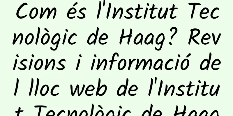 Com és l'Institut Tecnològic de Haag? Revisions i informació del lloc web de l'Institut Tecnològic de Haag