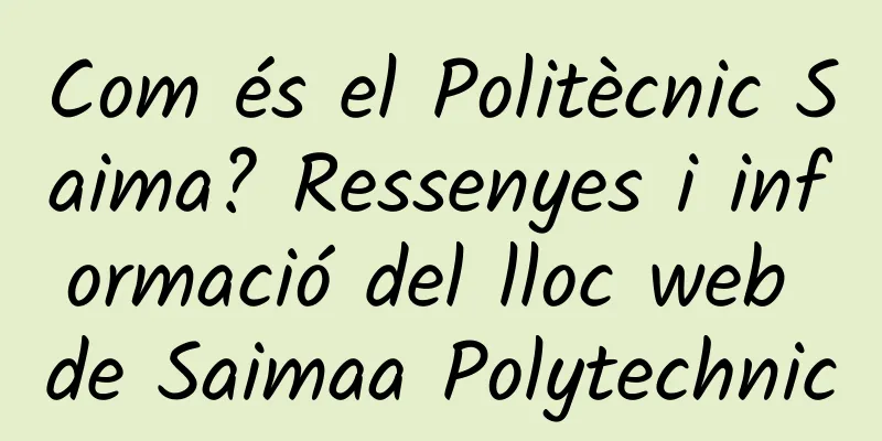 Com és el Politècnic Saima? Ressenyes i informació del lloc web de Saimaa Polytechnic