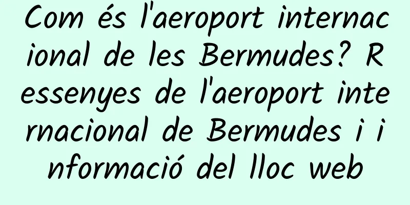 Com és l'aeroport internacional de les Bermudes? Ressenyes de l'aeroport internacional de Bermudes i informació del lloc web