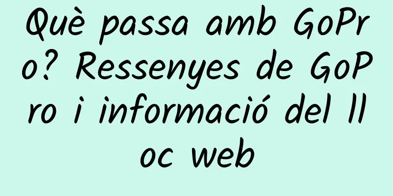 Què passa amb GoPro? Ressenyes de GoPro i informació del lloc web