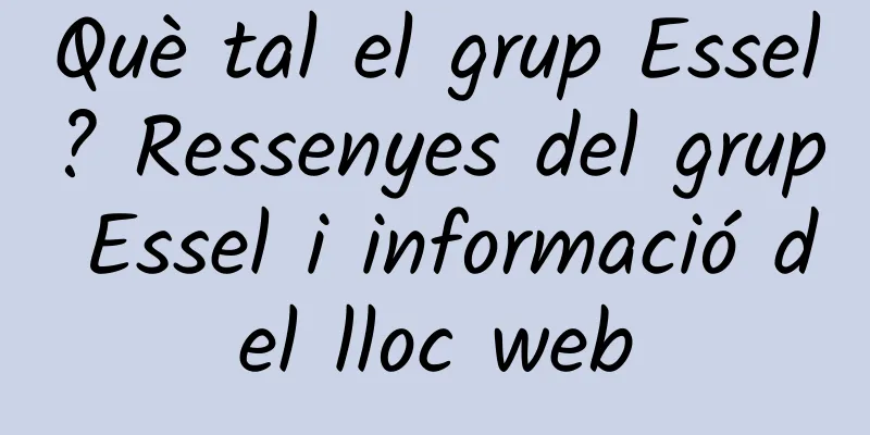 Què tal el grup Essel? Ressenyes del grup Essel i informació del lloc web