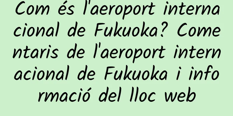 Com és l'aeroport internacional de Fukuoka? Comentaris de l'aeroport internacional de Fukuoka i informació del lloc web