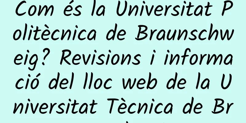 Com és la Universitat Politècnica de Braunschweig? Revisions i informació del lloc web de la Universitat Tècnica de Braunschweig