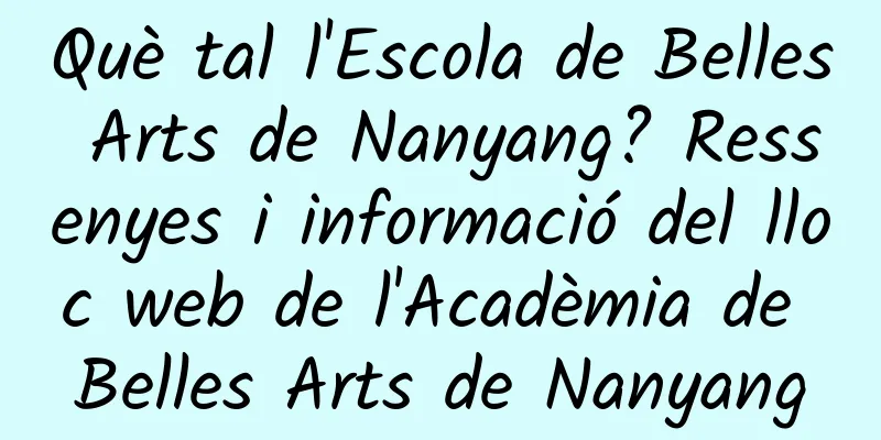 Què tal l'Escola de Belles Arts de Nanyang? Ressenyes i informació del lloc web de l'Acadèmia de Belles Arts de Nanyang