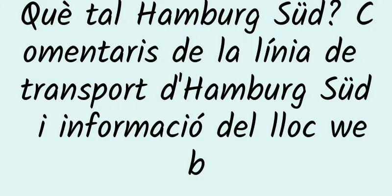 Què tal Hamburg Süd? Comentaris de la línia de transport d'Hamburg Süd i informació del lloc web