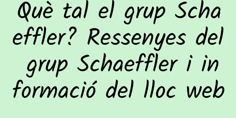 Què tal el grup Schaeffler? Ressenyes del grup Schaeffler i informació del lloc web
